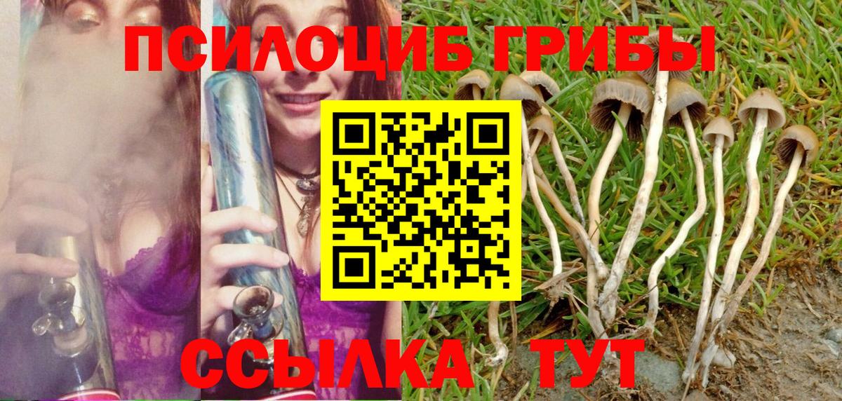 Псилоцибиновые грибы GOLDEN TEACHER Кандалакша